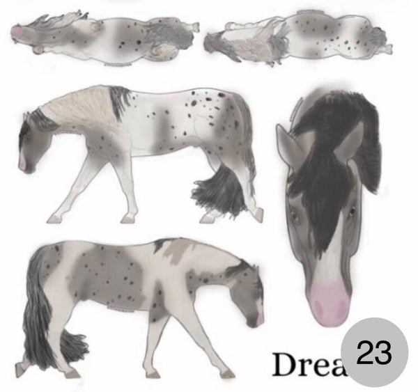 CC23