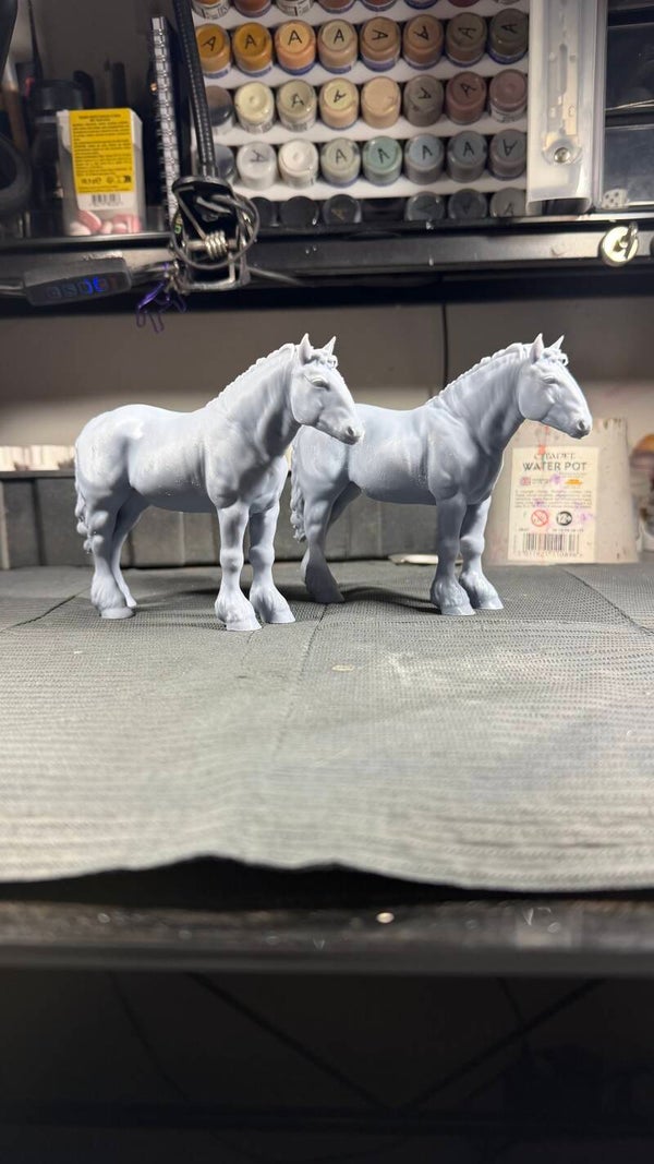 FAILED Bijou - Percheron mare