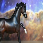 img_9667-standard-4aj5pp.jpg