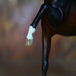 img_9676-standard-io177n.jpg