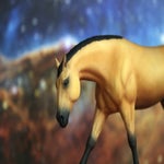 img_9713-standard-r74w0l.jpg