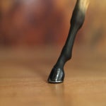 img_9718-standard-hpx5sn.jpg
