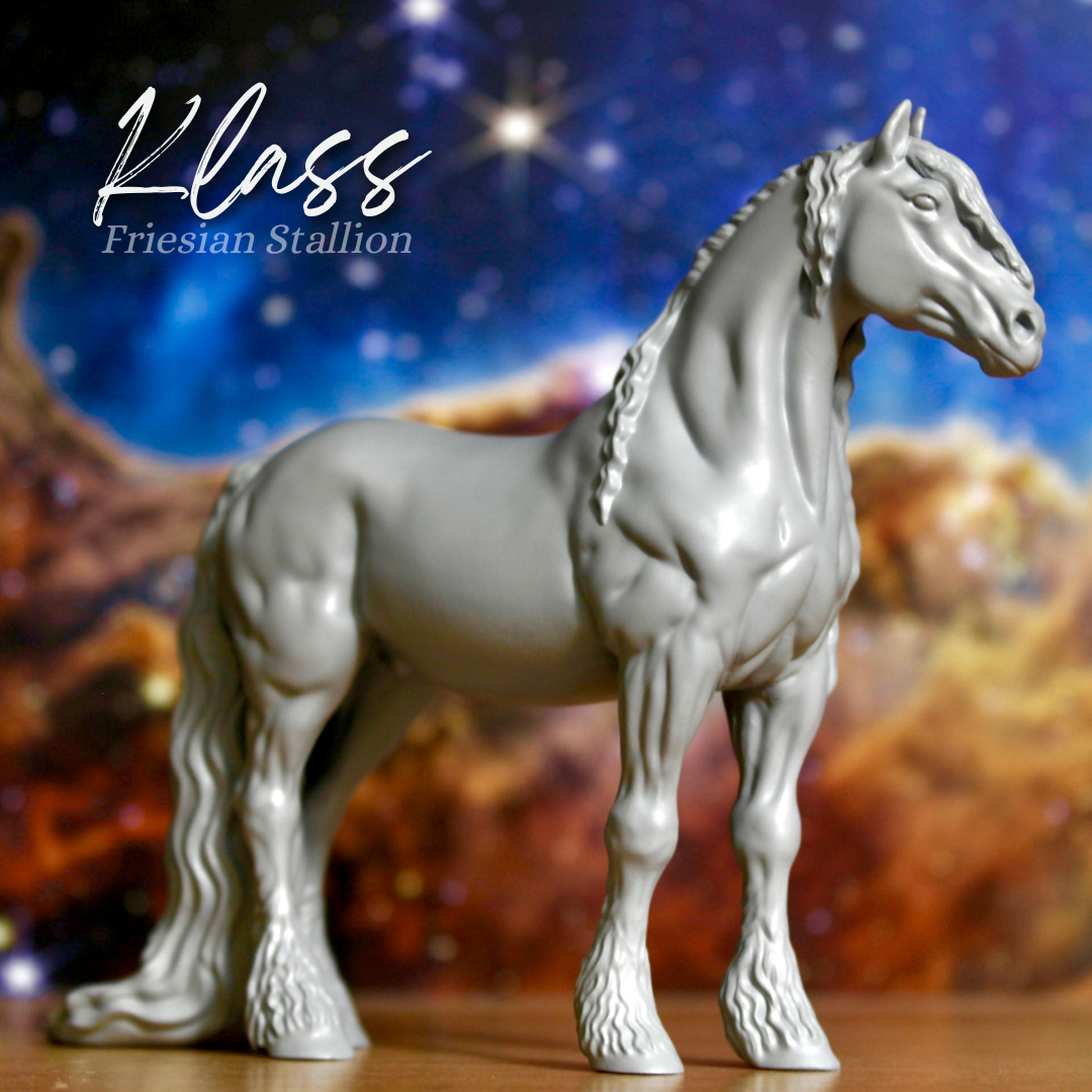 Klaas - Friesian Stallion