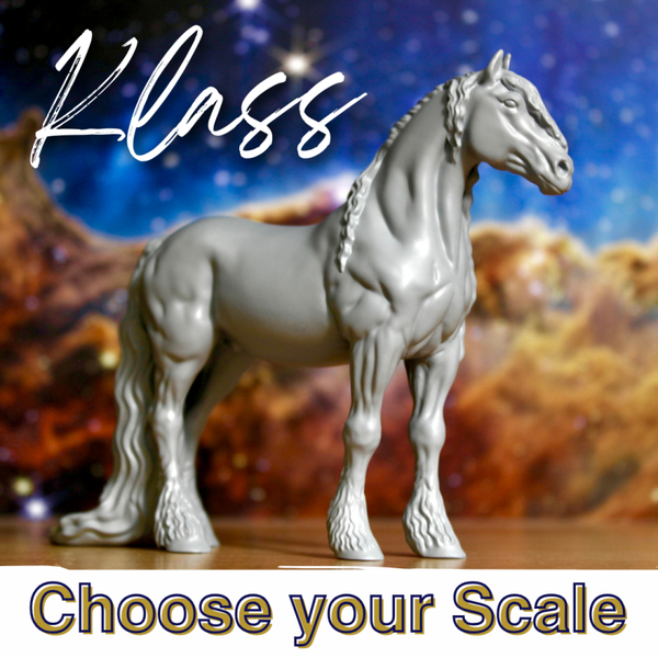 Klaas - Friesian Stallion