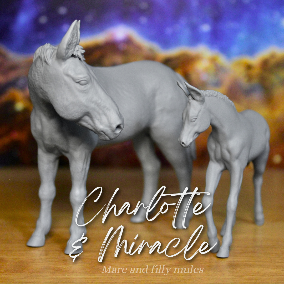 Mules Pack - Charlotte & Miracle