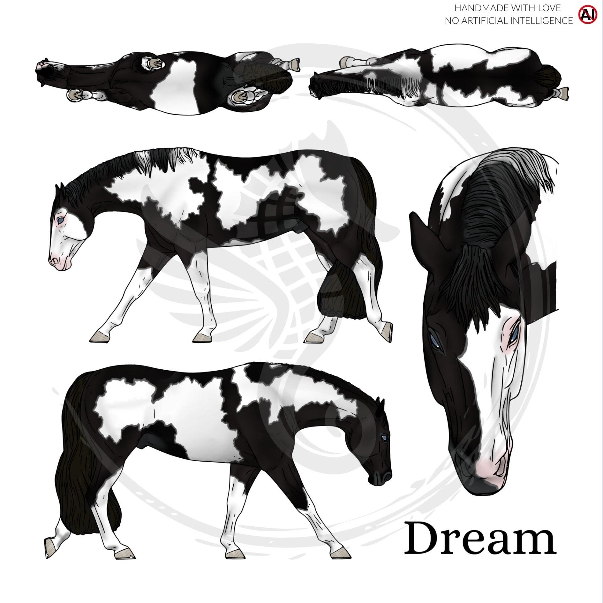 PO // Dream (wild mane) - Black Overo
