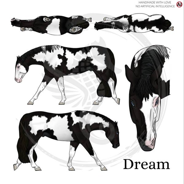 PO // Dream (wild mane) - Black Overo