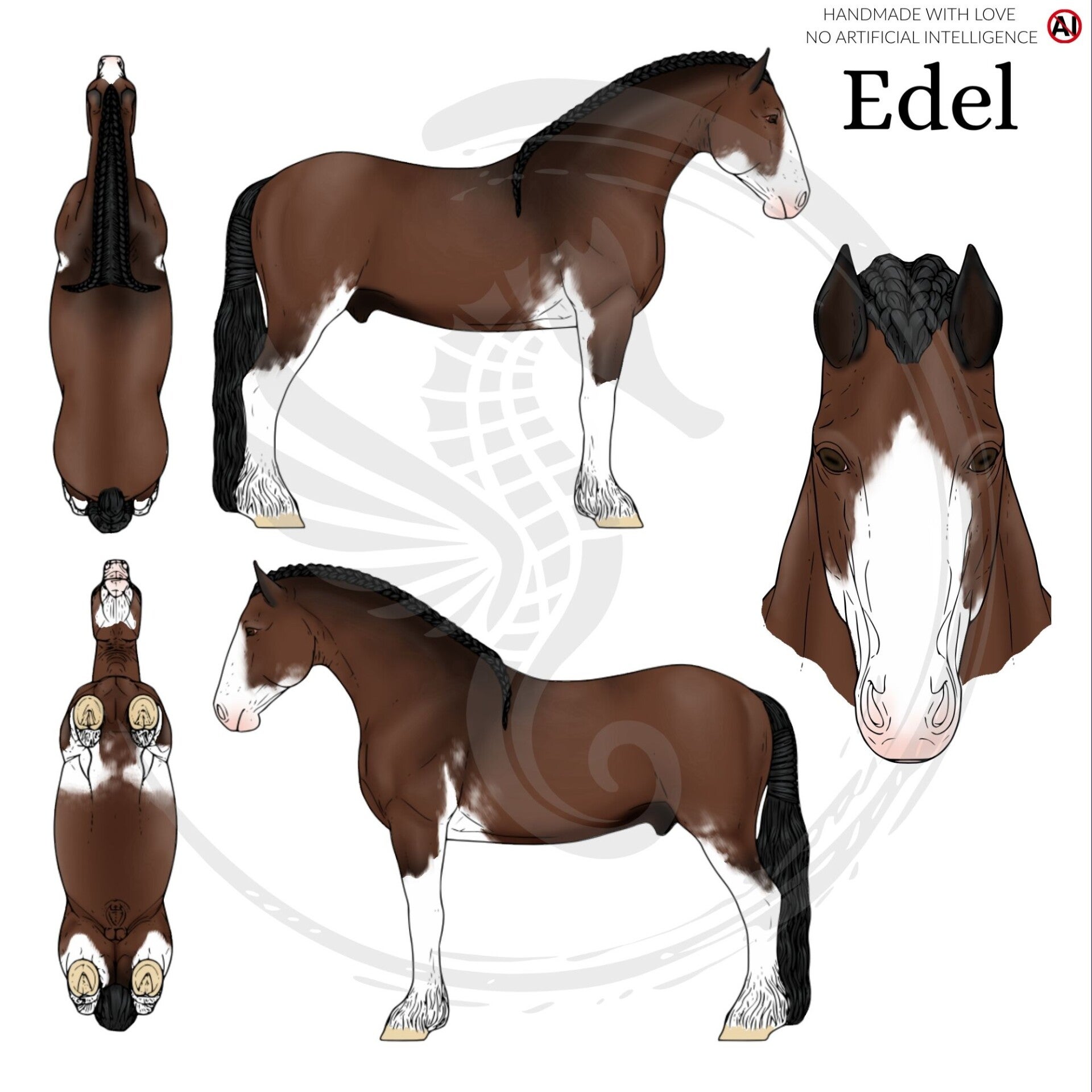 PO // Edel - Black (Clydesdale)