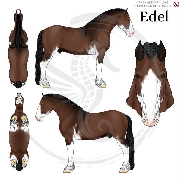 PO // Edel - Black (Clydesdale)