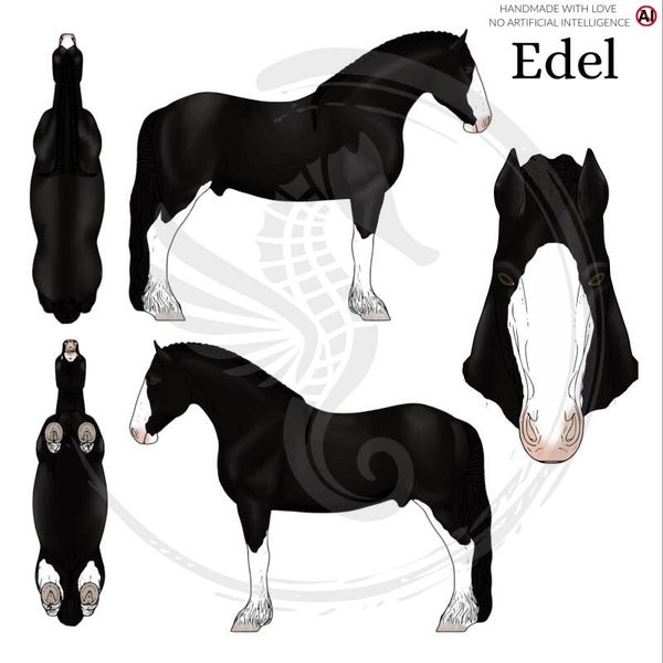 PO // Edel - Black (Shire)