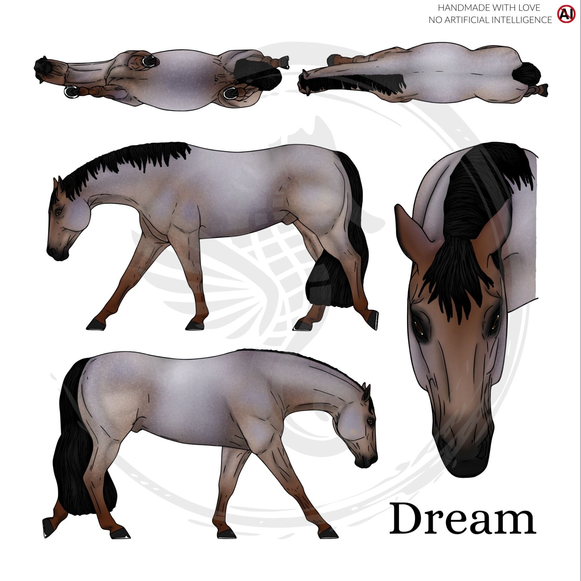 PO // Dream (wild mane) - Bay Roan