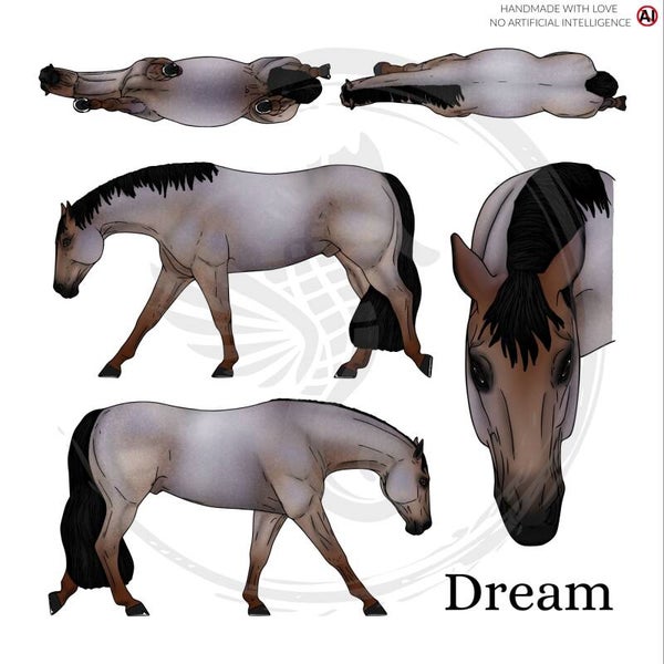 PO // Dream (wild mane) - Bay Roan