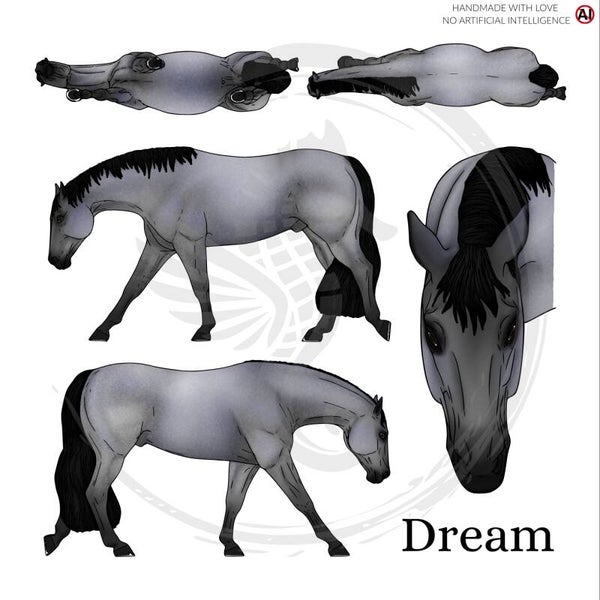 PO // Dream (wild mane) - Blue Roan