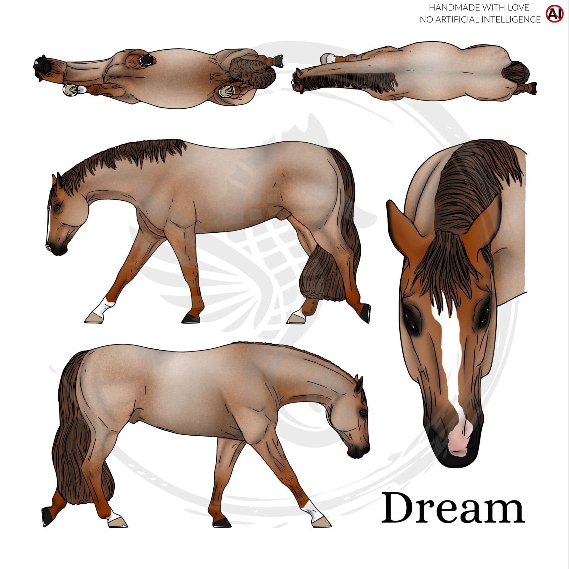 PO // Dream (wild mane) - Red Roan