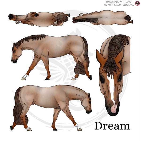PO // Dream (wild mane) - Red Roan