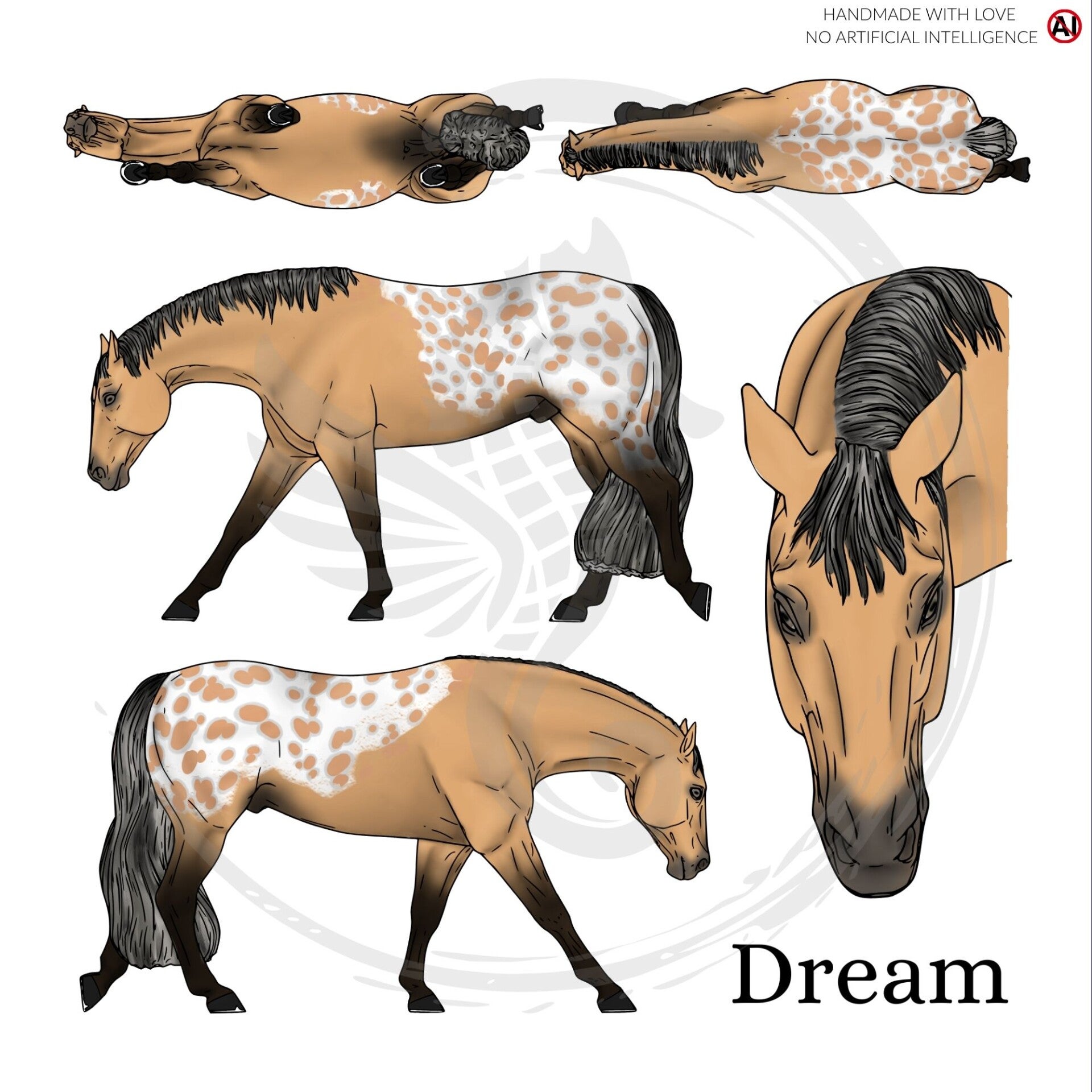 PO // Dream (wild mane) - Buckskin Spotted Blanket