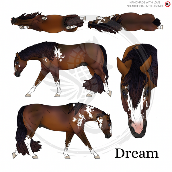 PO // Dream (long mane) - Bay Overo