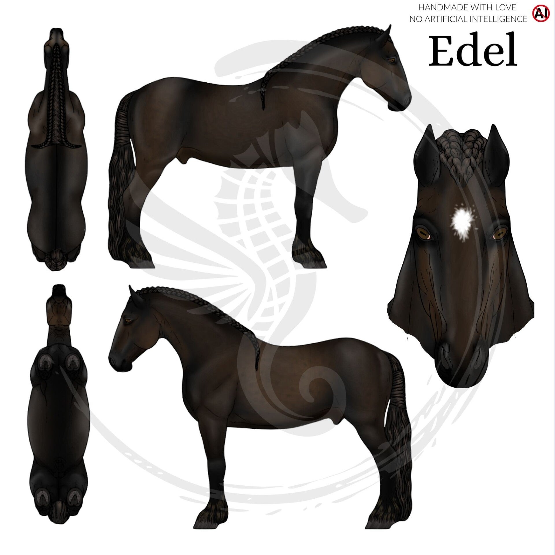 PO // Edel - Dark bay