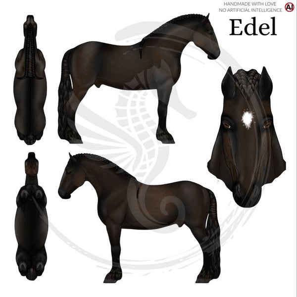 PO // Edel - Dark bay