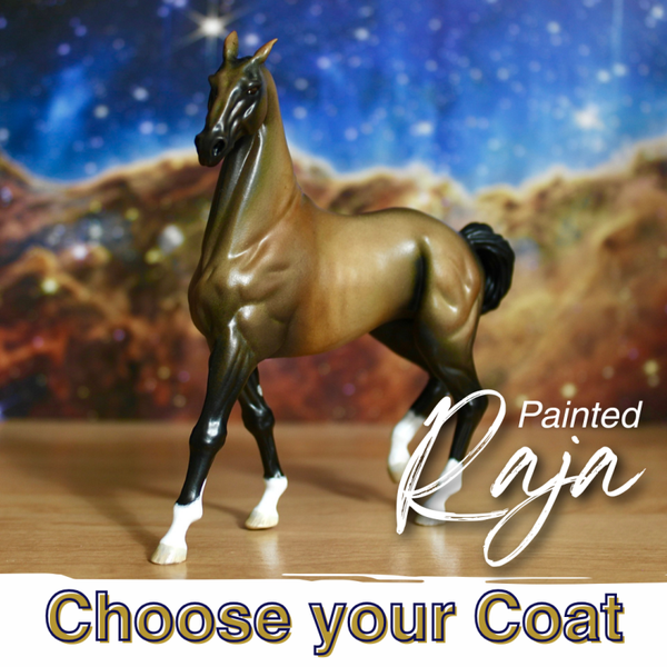Raja - Akhal Teke Mare (custom)