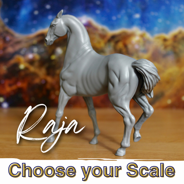 Raja - Akhal Teke Mare