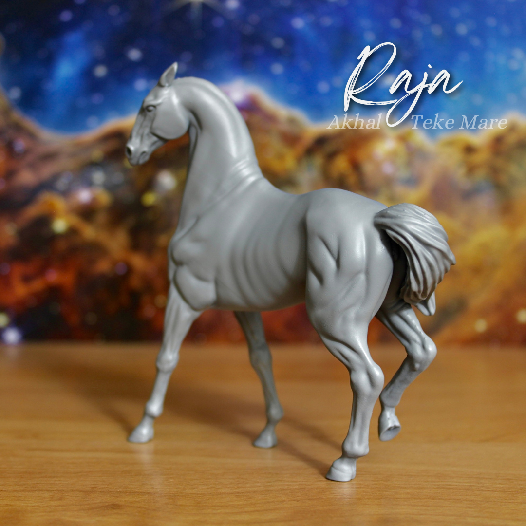 Raja - Akhal Teke Mare