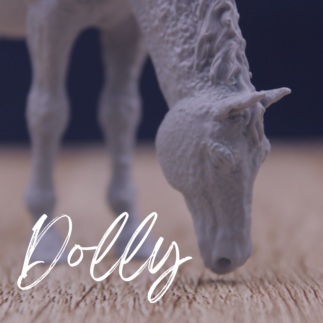 Dolly - Curly Mare