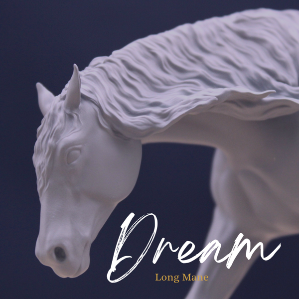 Dream (Long Mane) - Quarter Horse Stallion
