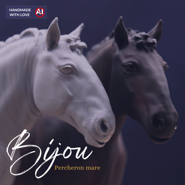 Bijou - Percheron mare