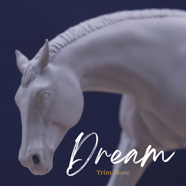 Dream (Trim Mane) - Quarter Horse Stallion