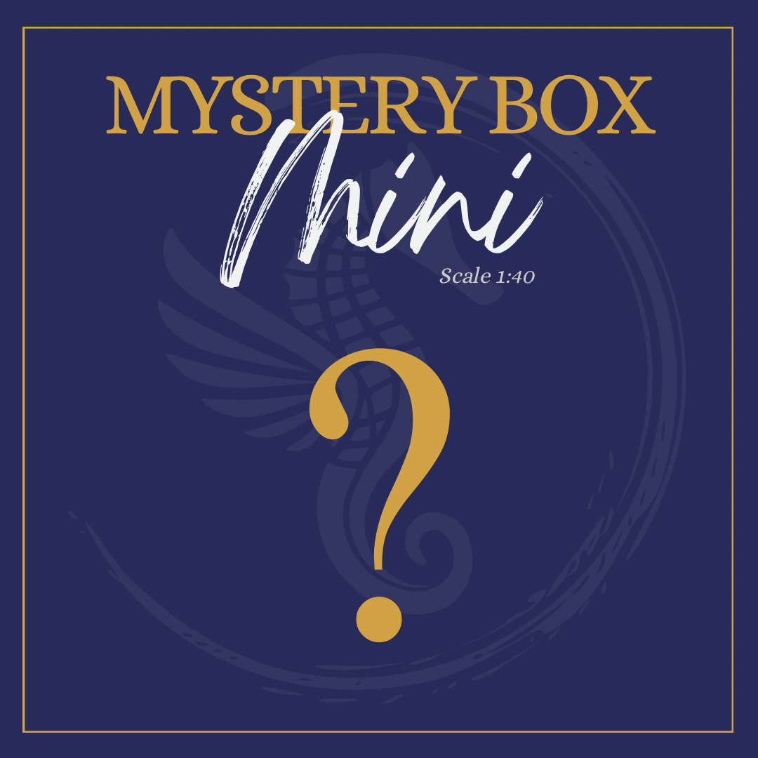 Mini Mystery Box