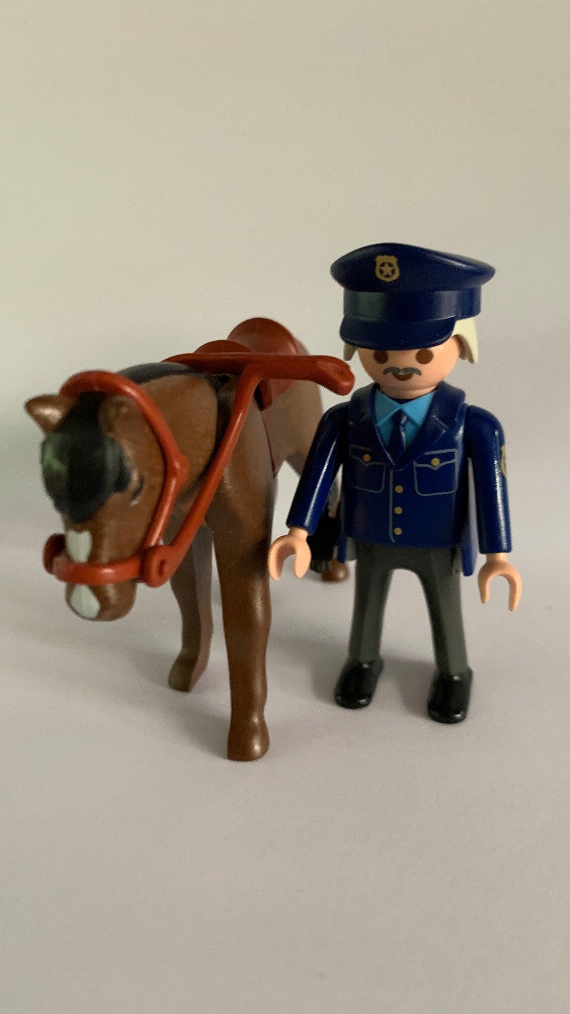 3167 politie te paard
