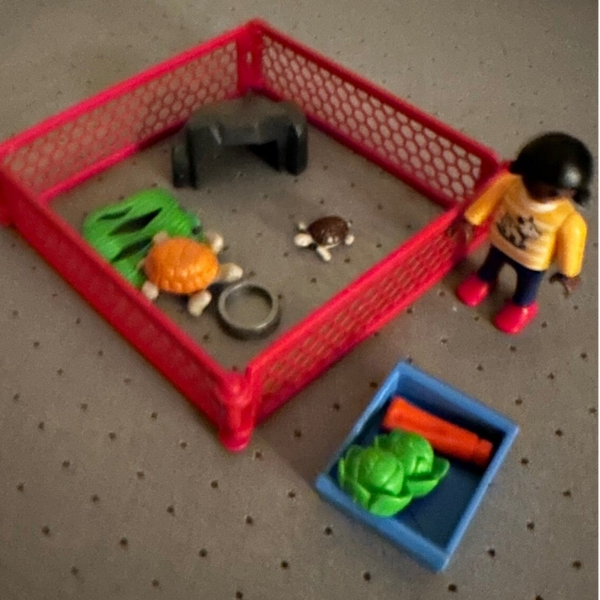 5534 schildpaddenverblijf