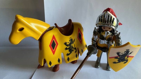 4163 ridder met paard