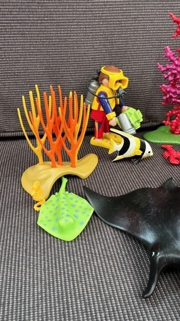 4488 koraalrif met duikers