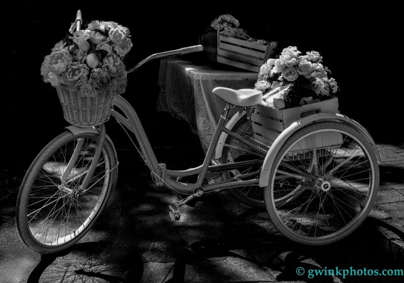 _c9a7748-flower-bike-b-w-standard.jpg