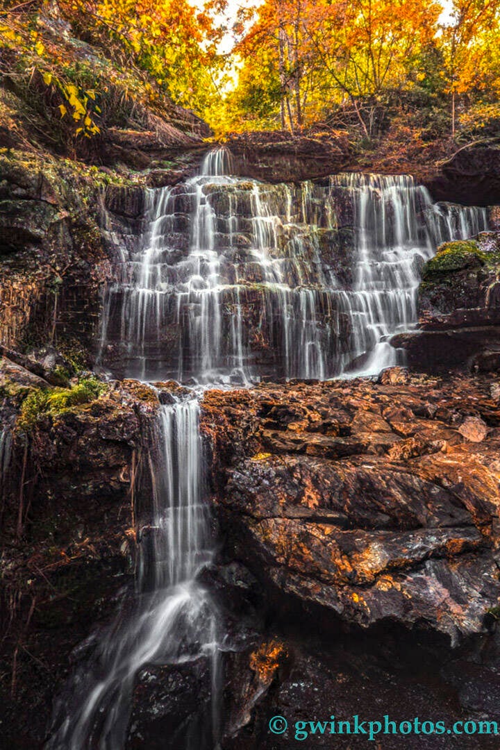 _wr55730_aurorahdr2019-edit-edit-standard.jpg