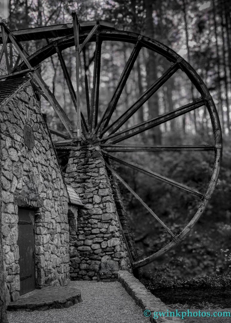 _wr55835-berrymill-close-up-standard.jpg