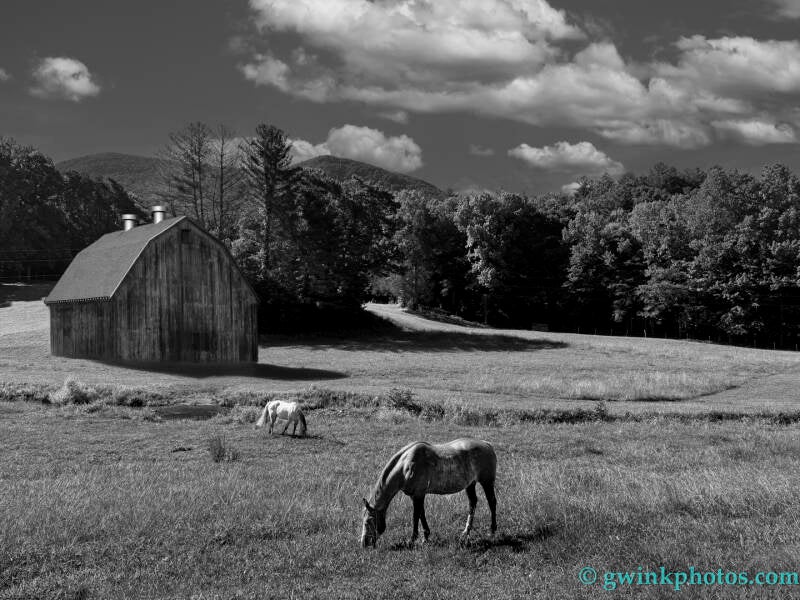 img_7862-old-barn-sky-b-w-standard.jpg
