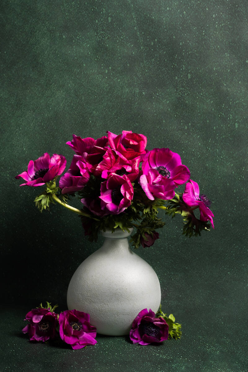 Modern stilleven met anemonen. Laat je muren spreken met een prachtig verhaal vertellend stilleven van John van de Gazelle. Want, één beeld zegt meer dan duizend woorden.