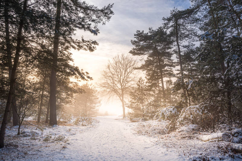 Winterlandschap op de heide.Laat je muren spreken met een prachtig verhaal vertellend landschapskunstwerk van John van de Gazelle. Want, één beeld zegt meer dan duizend woorden.