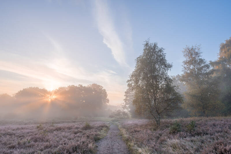 Zonsopkomst op de heide tijdens een koude herfstochtend. Laat je muren spreken met een prachtig verhaal vertellend landschapskunstwerk van John van de Gazelle. Want, één beeld zegt meer dan duizend woorden.