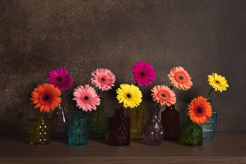 Modern Stilleven met Gerbera's - Tijdloze Elegantie in Chiaroscuro | John van de Gazelle Fotografie