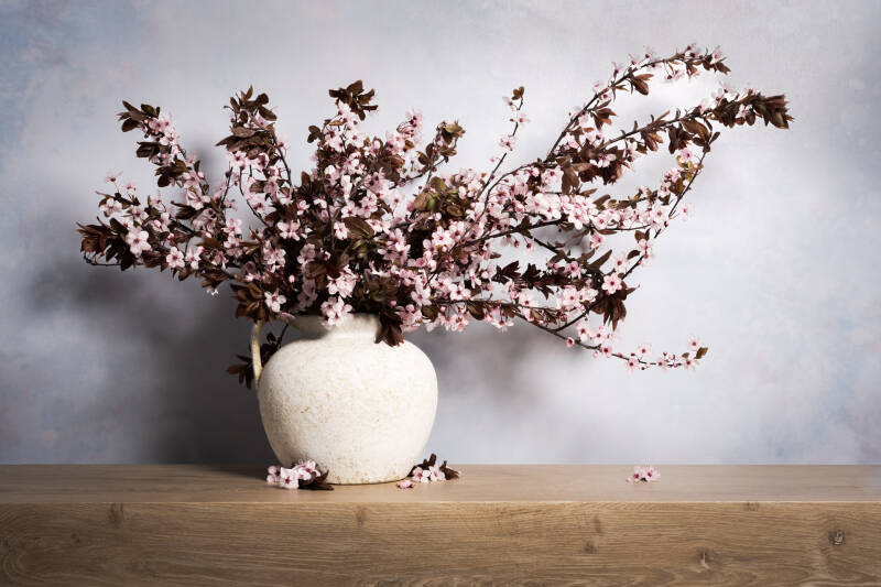 Modern stilleven met Prunus Bloesem in een witte vaas van John van de Gazelle.JPG