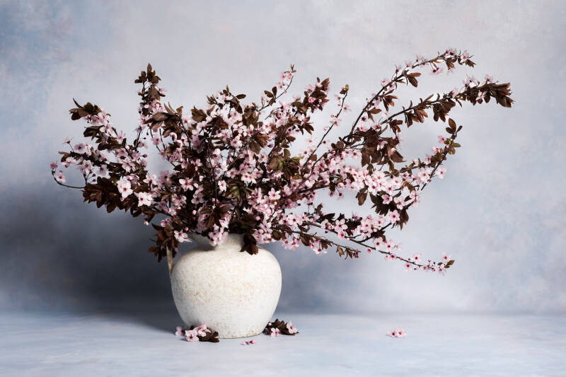 Modern stilleven met Prunus Bloesem in een witte vaas van John van de Gazelle.JPG