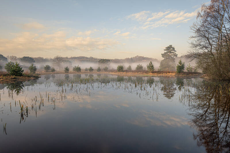 Mistige zonsopkomst bij een water op de heide. Laat je muren spreken met een prachtig verhaal vertellend landschapskunstwerk van John van de Gazelle. Want, één beeld zegt meer dan duizend woorden.
