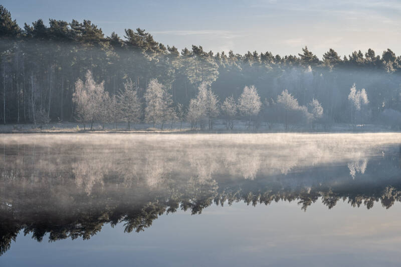 Landschapsfoto van de zonsopkomst aan het water met berijpte bomen. Laat je muren spreken met een prachtig verhaal vertellend landschapskunstwerk van John van de Gazelle. Want, één beeld zegt meer dan duizend woorden.
