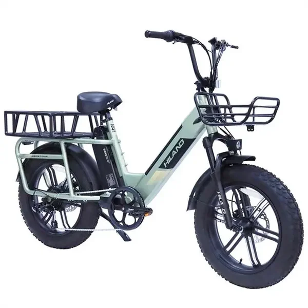 Fat Bike elettrica gemma