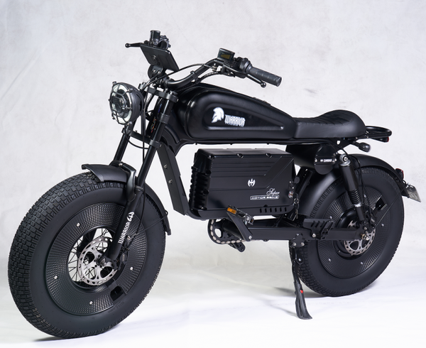 Bicicletta elettrica Pieghevole ENGWE EP-2 BOOST da 20 con batteria 48V 13A