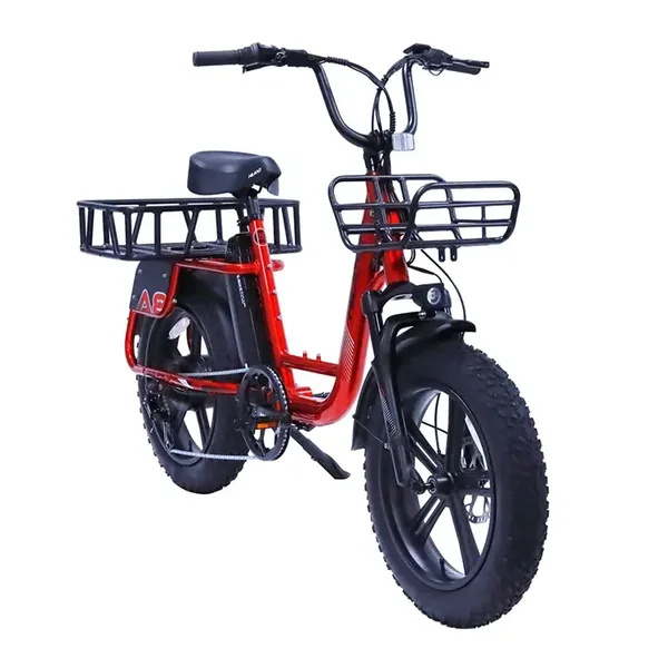 Bicicletta elettrica Pieghevole ENGWE EP-2 BOOST da 20 con batteria 48V 13A